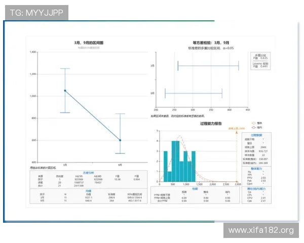 万博这个网站如何评价:用户体验与服务质量全面分析