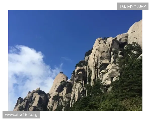 manbetx万博全站注册流程详解，新手入门指南帮助用户快速了解平台操作步骤